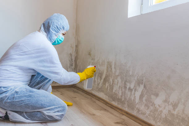Licensed Commercial Mold Remediation service in Scotch Plains, NJ - 24 Hour Mold Removal