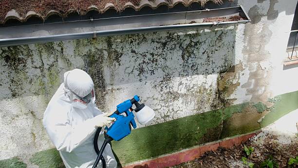 Top rated local Commercial Mold Remediation specialists in Scotch Plains, NJ